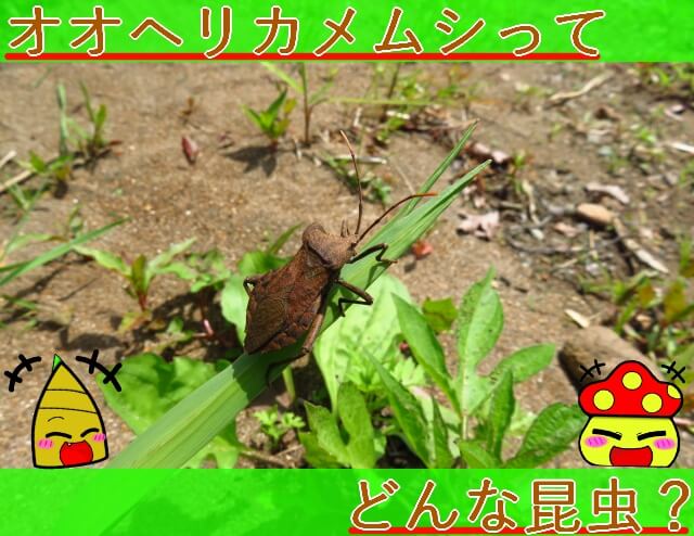 Thumbnail of post image 115